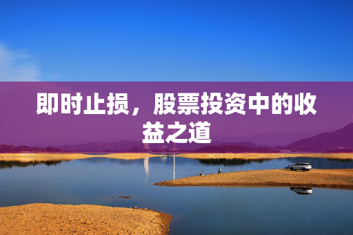 即时止损，股票投资中的收益之道