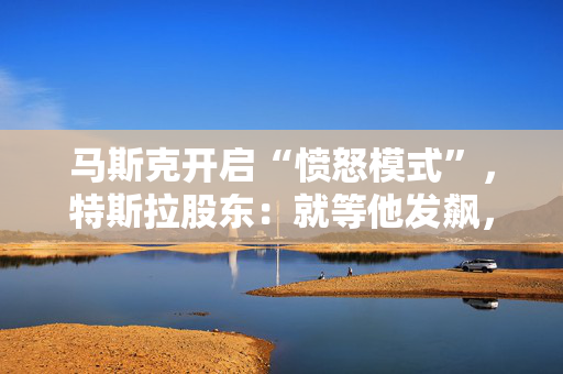 马斯克开启“愤怒模式”，特斯拉股东：就等他发飙，用成绩说话