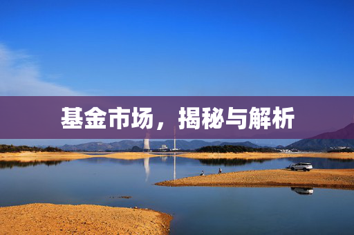 基金市场，揭秘与解析