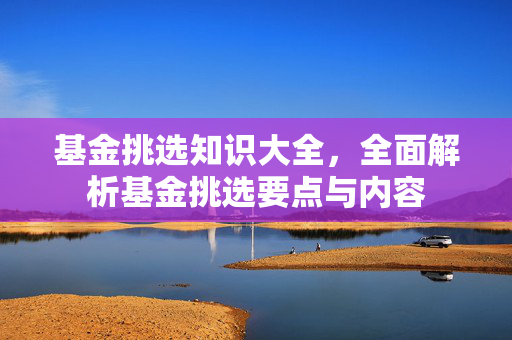 要点解析