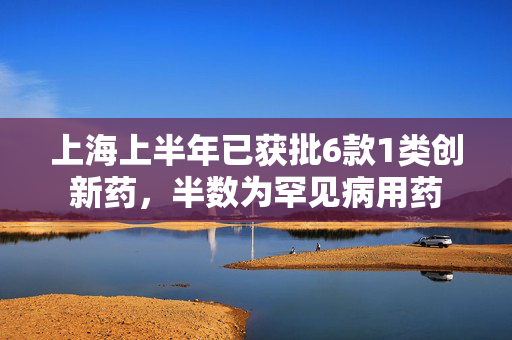上海上半年已获批6款1类创新药，半数为罕见病用药