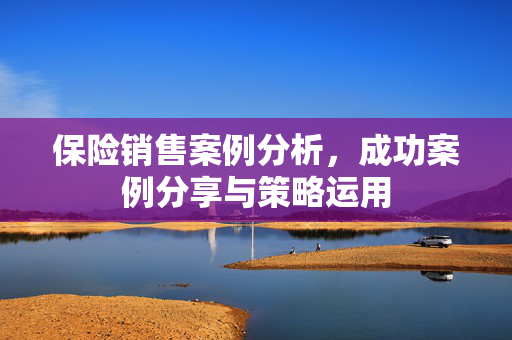 策略运用