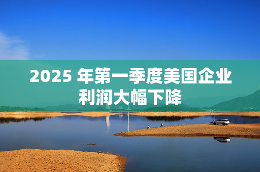 2025 年第一季度美国企业利润大幅下降