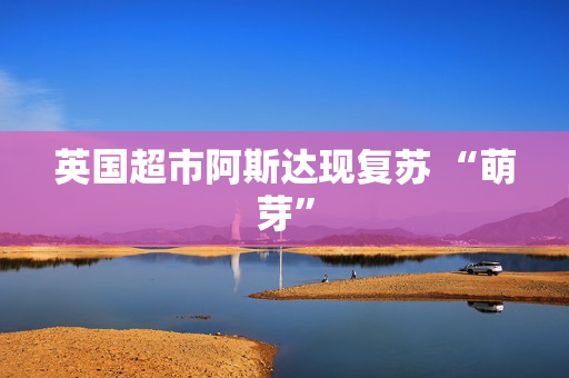 英国超市阿斯达现复苏 “萌芽”