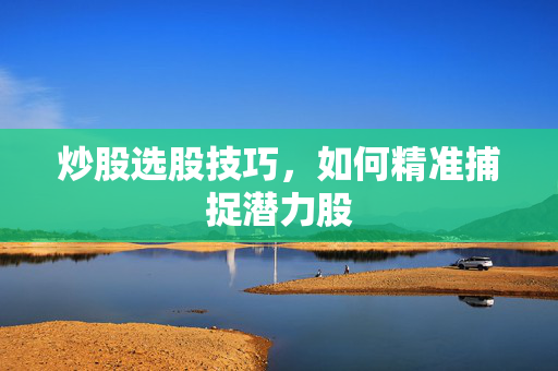炒股选股技巧，如何精准捕捉潜力股