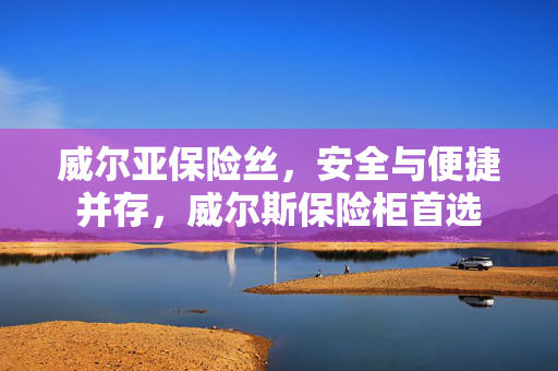 威尔亚保险丝，安全与便捷并存，威尔斯保险柜首选