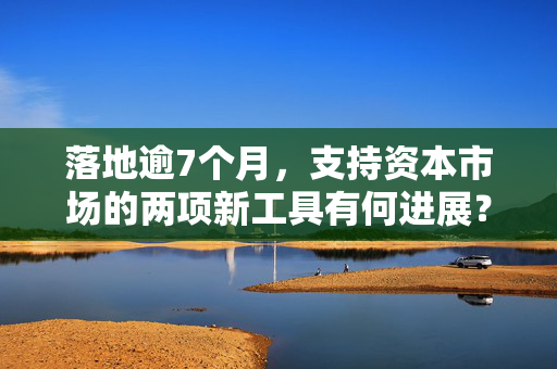 落地逾7个月，支持资本市场的两项新工具有何进展？