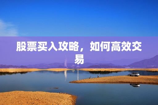 股票买入攻略，如何高效交易