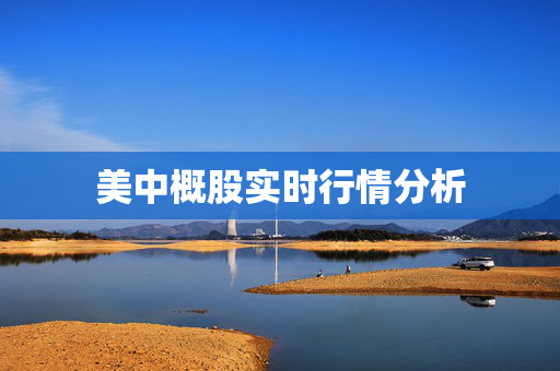 美中概股实时行情分析