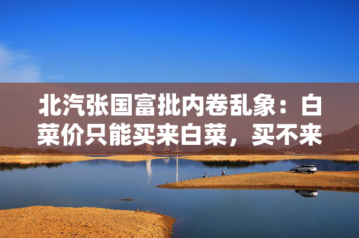 北汽张国富批内卷乱象：白菜价只能买来白菜，买不来金丝楠木