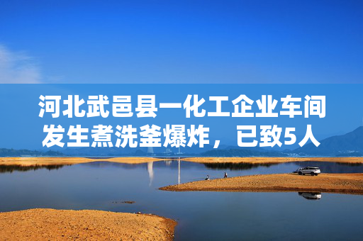 河北武邑县一化工企业车间发生煮洗釜爆炸，已致5人遇难