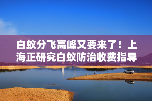 白蚁分飞高峰又要来了！上海正研究白蚁防治收费指导标准