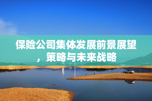 保险公司集体发展前景展望，策略与未来战略