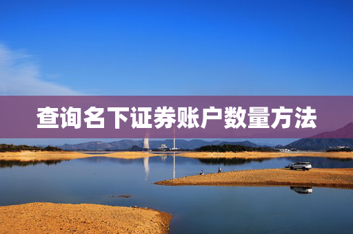 查询名下证券账户数量方法