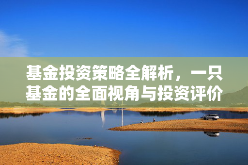 基金投资策略全解析，一只基金的全面视角与投资评价