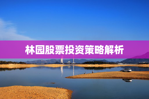 林园股票投资策略解析