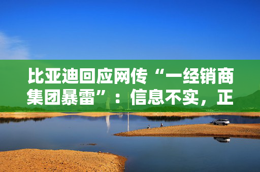 比亚迪回应网传“一经销商集团暴雷”：信息不实，正纾困支持