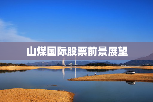 山煤国际股票前景展望