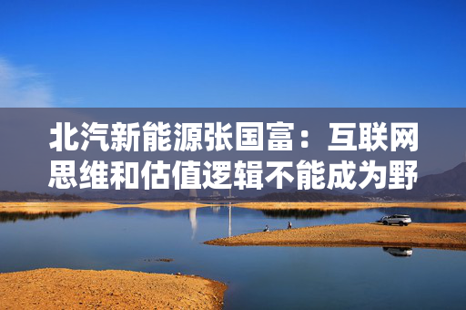 北汽新能源张国富：互联网思维和估值逻辑不能成为野蛮生长的理由