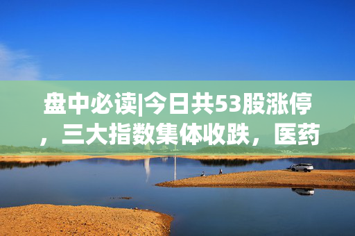 盘中必读|今日共53股涨停，三大指数集体收跌，医药概念逆势走高