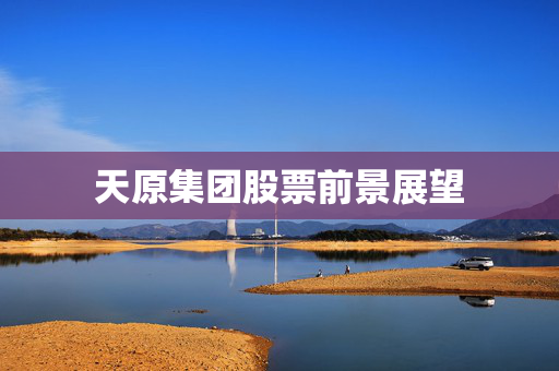 天原集团股票前景展望