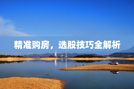 精准购房，选股技巧全解析