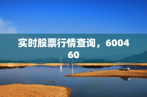 实时股票行情查询，600460
