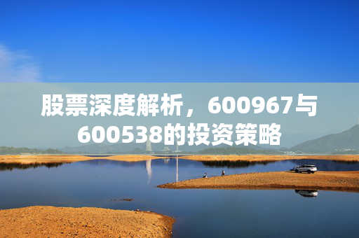 股票深度解析，600967与600538的投资策略