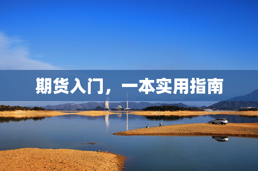 期货入门，一本实用指南