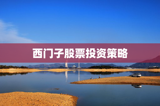 西门子股票投资策略