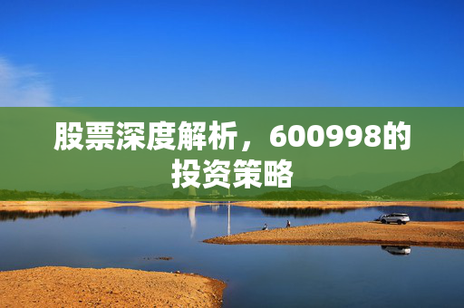 股票深度解析，600998的投资策略