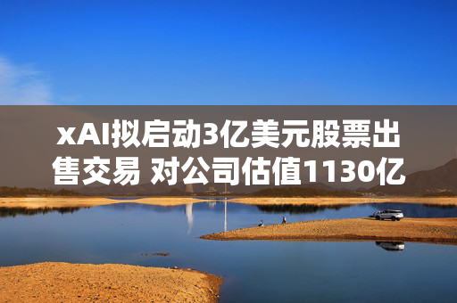xAI拟启动3亿美元股票出售交易 对公司估值1130亿美元