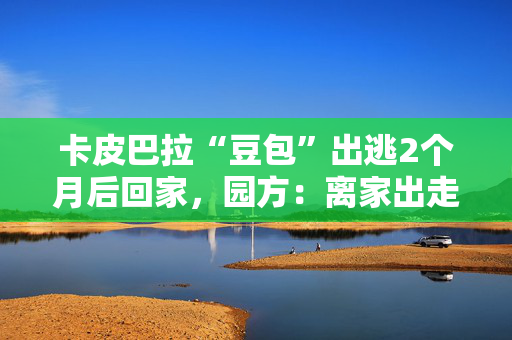 卡皮巴拉“豆包”出逃2个月后回家，园方：离家出走的孩子回来了