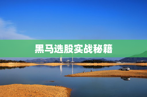 黑马选股实战秘籍