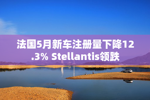 法国5月新车注册量下降12.3% Stellantis领跌