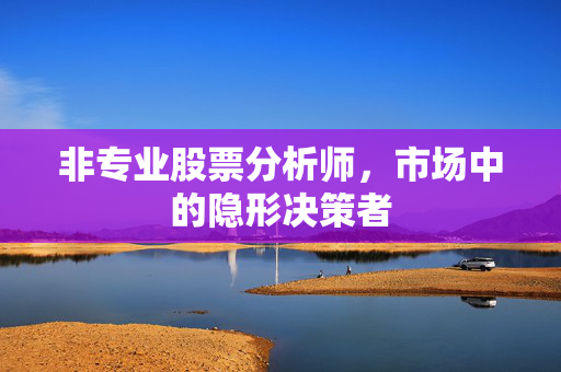 非专业股票分析师，市场中的隐形决策者