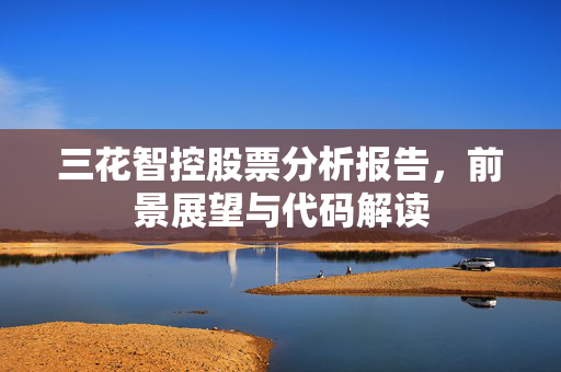 三花智控股票分析报告，前景展望与代码解读