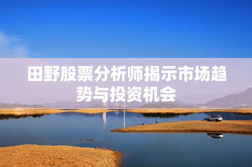 田野股票分析师揭示市场趋势与投资机会