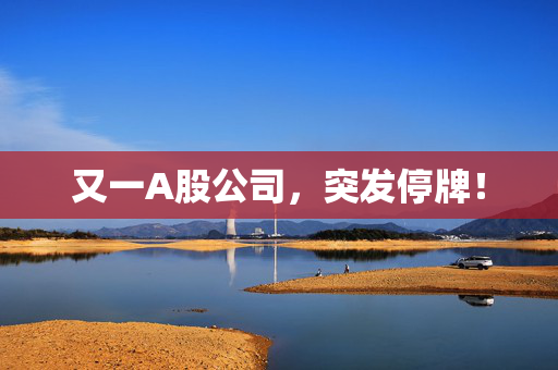 又一A股公司，突发停牌！