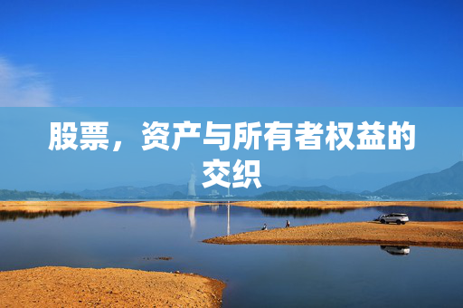 股票，资产与所有者权益的交织