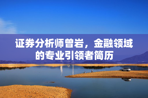 证券分析师曾岩，金融领域的专业引领者简历