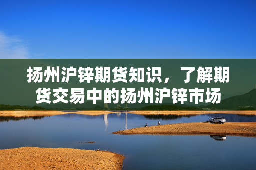 扬州沪锌期货知识，了解期货交易中的扬州沪锌市场