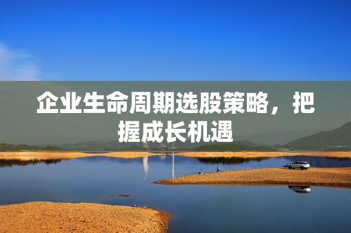 企业生命周期选股策略，把握成长机遇