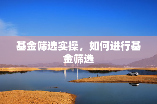 基金选择