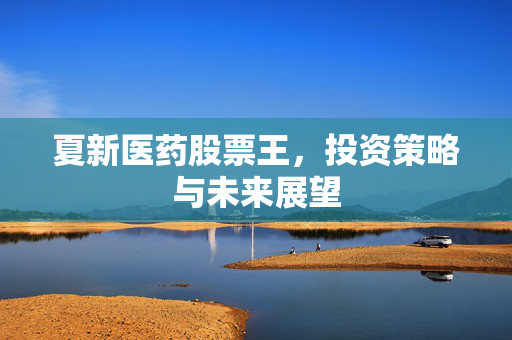 夏新医药股票王，投资策略与未来展望