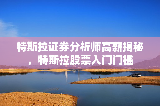 特斯拉证券分析师高薪揭秘，特斯拉股票入门门槛