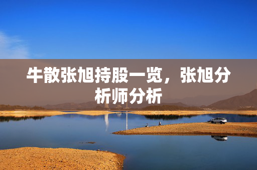 牛散张旭持股一览，张旭分析师分析