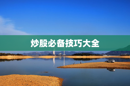 炒股必备技巧大全