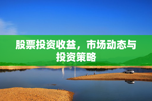 股票投资收益，市场动态与投资策略