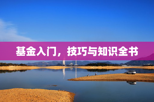 基金入门，技巧与知识全书